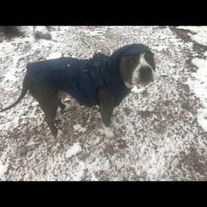 Meet your Posher, Ashleigh